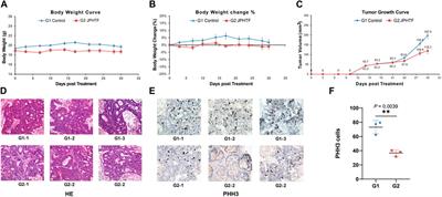 Traditional Chinese Medicine JianPiHuaTan formula improving quality of life and survival in patients with colorectal cancer through RAS/RAF downstream signaling pathways